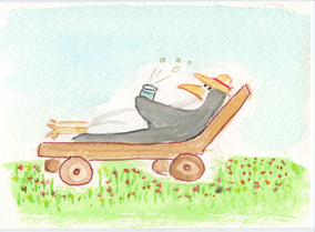 Penguin - Vacation