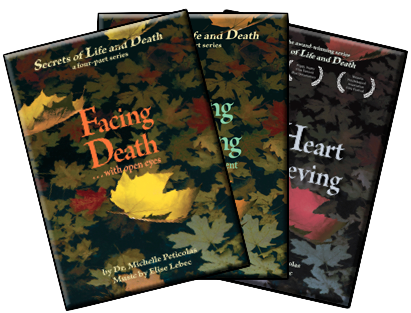3 dvd set covers