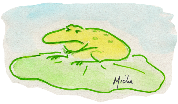 Sick frog card - A Remedy for Too Much Busyness!
