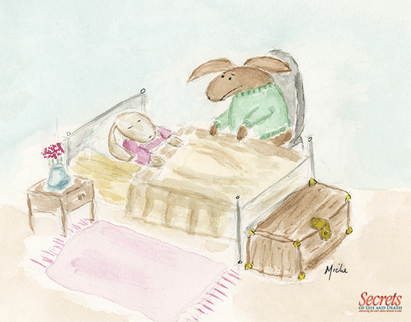 Rabbit at the bedside